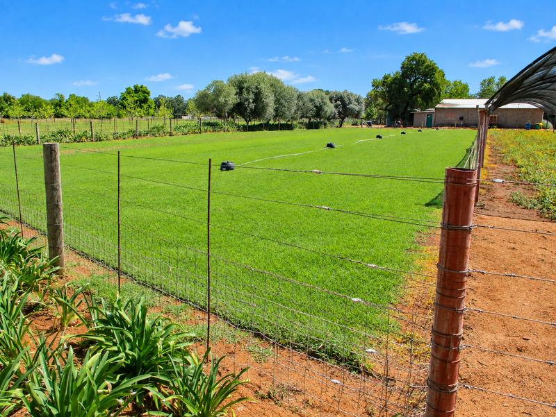 4 Bedroom Property for Sale in Bainsvlei Free State
